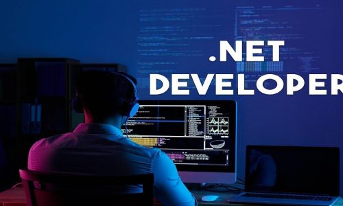 .net-developers